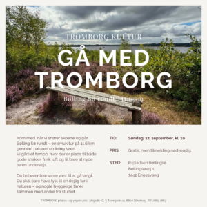 TROMBORG kultur