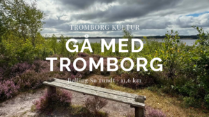 Gå med TROMBORG kultur Silkeborg Bøllingsø